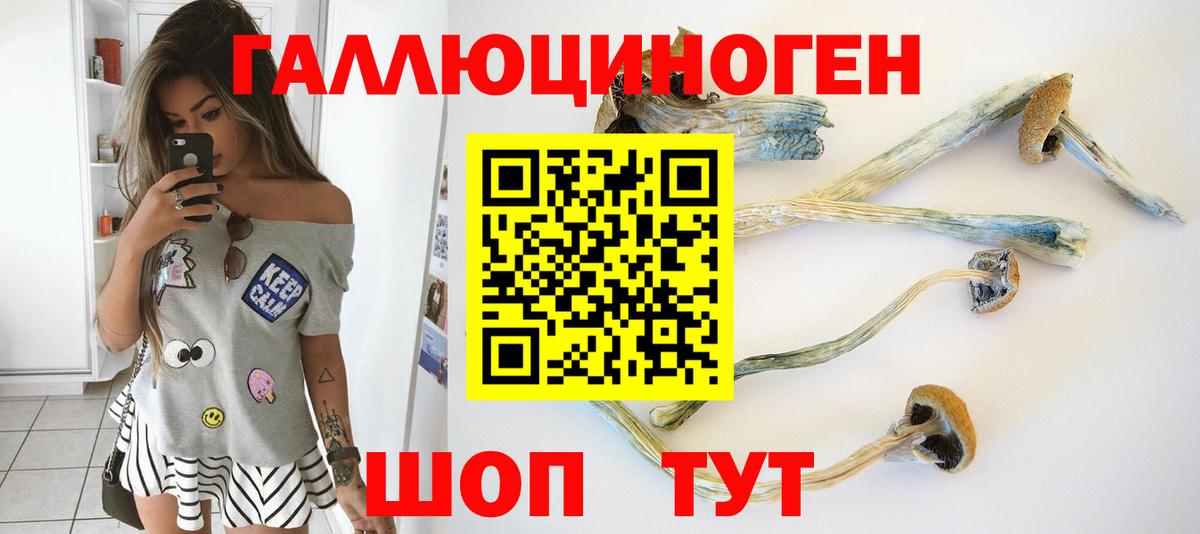 цены наркотик  Галлюциногенные грибы Psilocybine cubensis  Вход с VPN  Щёкино 